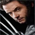 wolverine