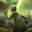 Ting kicsi avatar